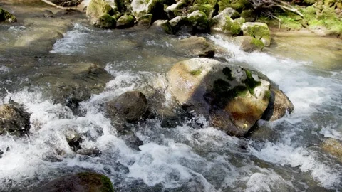 Close-up of forest river with rapids and rocks Stock Footage 341433519