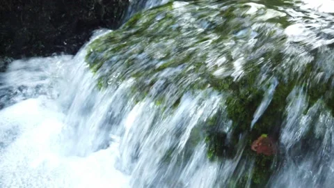 Close-up of forest river water flowing Stock Footage 143722876