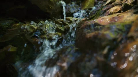 Close-up of a forest stream's clear water flowing over wet stones Stock Footage 335815556
