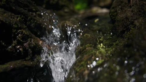 Close-up of a forest stream's gentle flow over wet stones 스톡 동영상 335815230