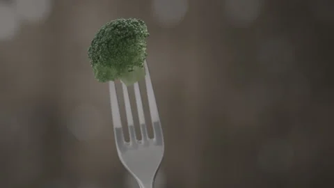 Close-up of fork with delicious steamed green broccoli Stock Footage 143091346
