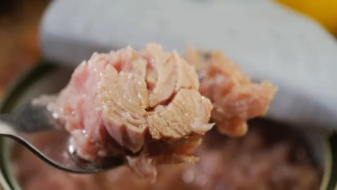 Close up of fork lifting canned tuna fish from open tin for preparing healt.. Stock Footage 332029497