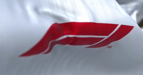 Close-up of Formula 1 white flag waving Video stock 264936504