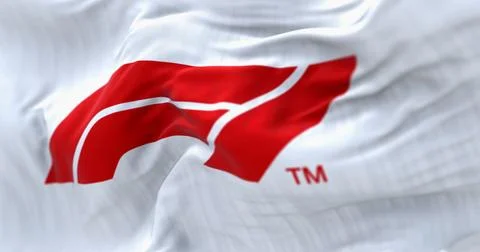 Close-up of Formula 1 white flag waving Illustrazione stock