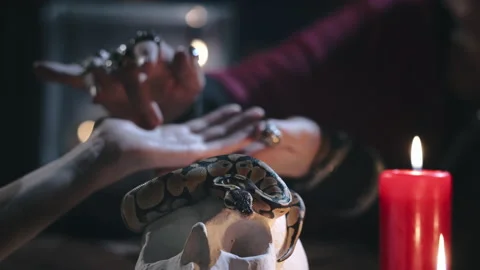 Close up of fortune teller reading palm lines of woman 動画素材 136889119