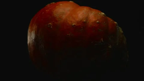 Close-up, forward movement, red pumpkin in turning motion on a black background Stock Footage 202504708