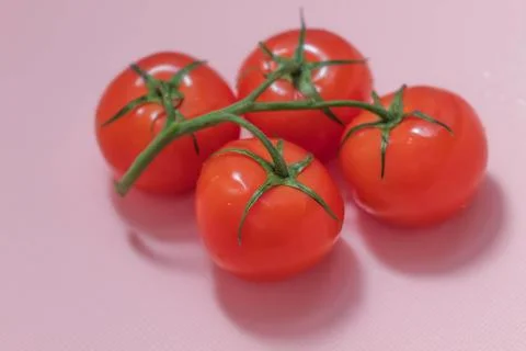 Close-up of four small red tomatoes on a branch on a pink background Stock Photos