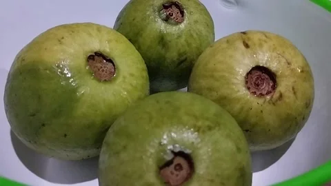 Close-Up of Four Unique Green Crystal Guavas Showing Their Tips Stock Footage 229249205