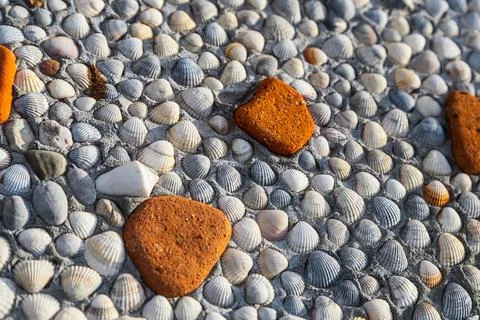 Close-up fragment of a wall lined with shells Foto stock