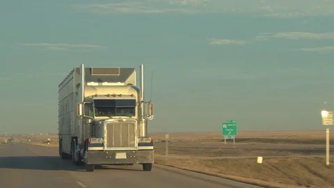 CLOSE UP Freight livestock container semi truck transporting cattle on the road Stock Footage 76433445