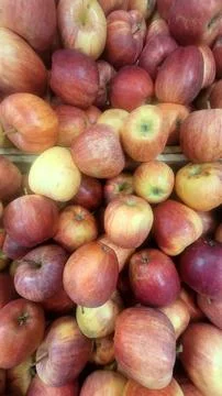 Close-up of fresh apples, creating an appetizing and textured scene. Stock Photos