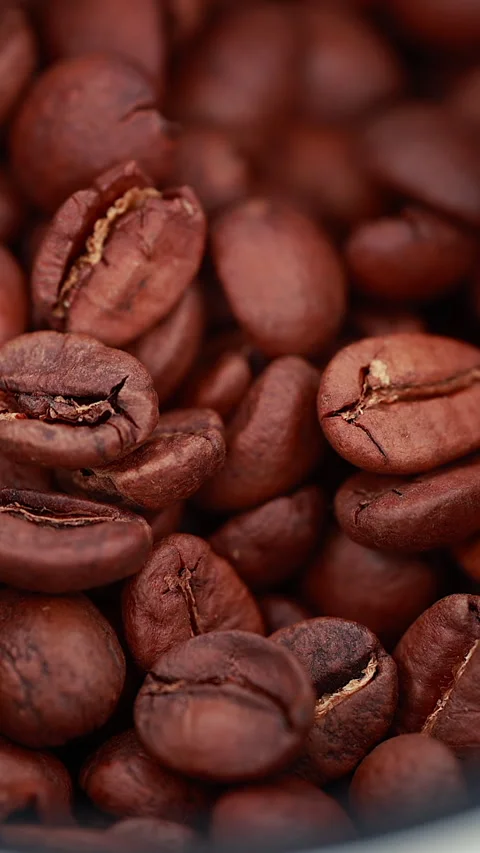 Close-Up of Fresh Aromatic Coffee Beans in a Metal Grinder. Vertical Stock Footage 297089613