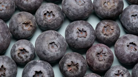 Close-up of a fresh berry on a blue background. Stock Footage 170392942