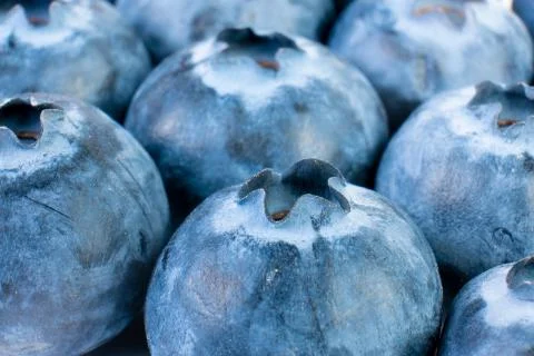 Close up of fresh blueberries as background Stock Photos