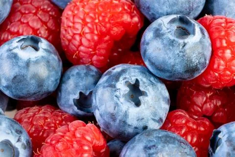 Close up of fresh blueberries as background Stock Photos