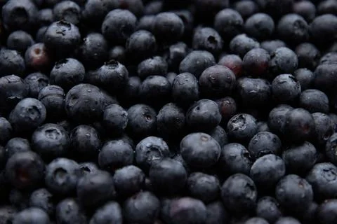 Close-up of fresh blueberries background. Stock Photos