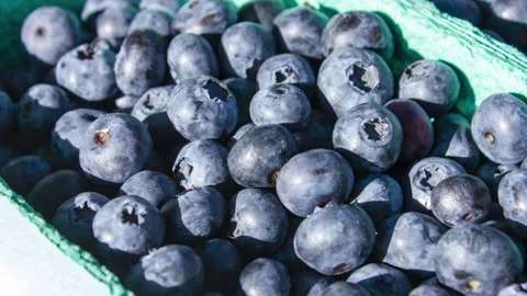 Close-up of fresh blueberries in containers. Natural blueberries,animation 動画素材 341592170