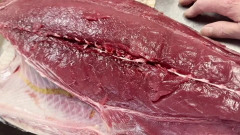 Close-up of a Fresh Bluefin Tuna Red Meat Loin Akami, Japanese Cuisine, Japan Stockbeeldmateriaal 340207181