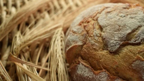 Close up of fresh bread with wheat Stock Footage 123041627