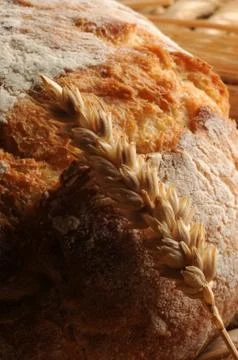 Close up of fresh bread with wheat Stock Photos