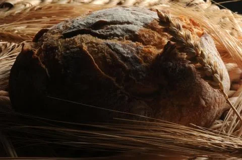 Close up of fresh bread with wheat Stock Photos