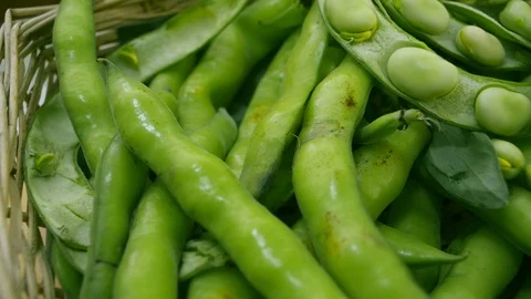 Close up fresh broad beans peeled in a basket Stock-Footage 107548722