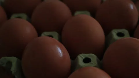 Close up of fresh brown chicken eggs in paper tray. Stock Footage 315178094