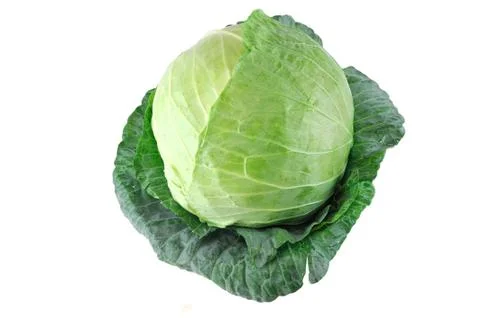 Close up on fresh cabbage Stock Photos