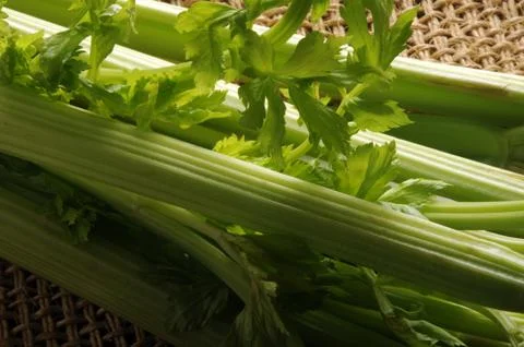 Close up on fresh celery Stock Photos