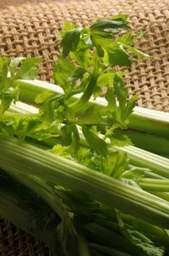 Close up on fresh celery Stock Photos