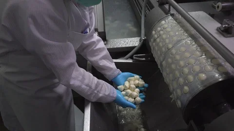 Close-up of fresh cheeses from the machine Stock Footage 129928144