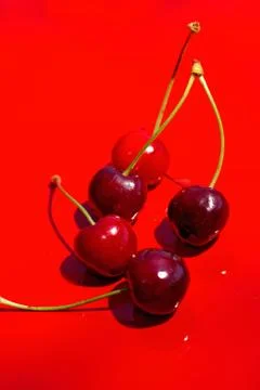 Close up of fresh cherry berries photographed in daylight conditions Stock Photos