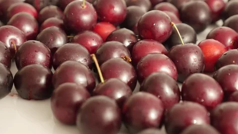 Close-up of fresh cherry plum on table Stock Footage 77795764