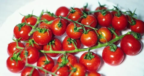 Close-Up Of Fresh Cherry Tomatoes Stock Footage 144016932