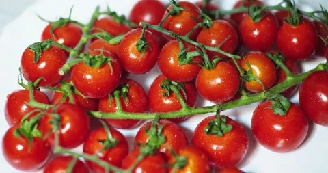 Close-Up Of Fresh Cherry Tomatoes Stock Footage 144016933