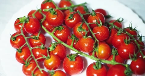Close-Up Of Fresh Cherry Tomatoes Stock Footage 144016934