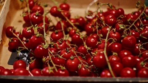 Close-up of fresh cherry tomatoes on the vine in a wooden crate. Natural produce Stock Footage 287899977
