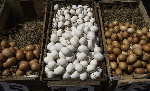 Close up of fresh Chicken eggs Stock Photos