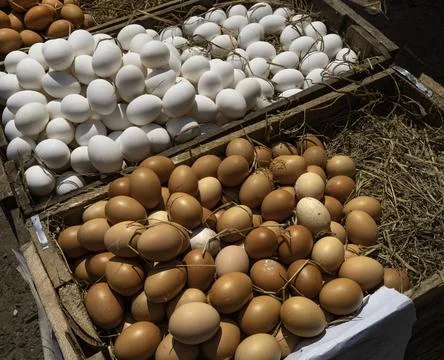 Close up of fresh Chicken eggs Foto stock