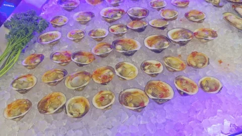 Close Up Of Fresh Clams On Ice At Seafood Buffet Display Stock Footage 324438912