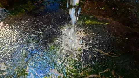 Close-up of fresh clear water pouring and splashing into a shallow mossy concret Stock Footage 337598588