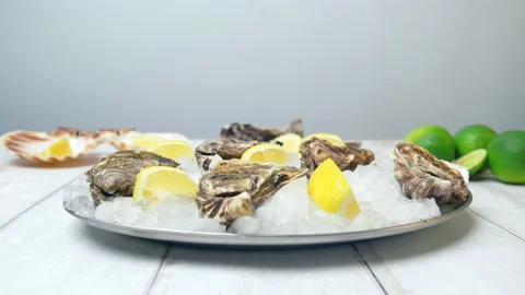 Close-up of fresh closed Oysters on the table in a plate with crushed ice in 4K. Stock Footage 146246264