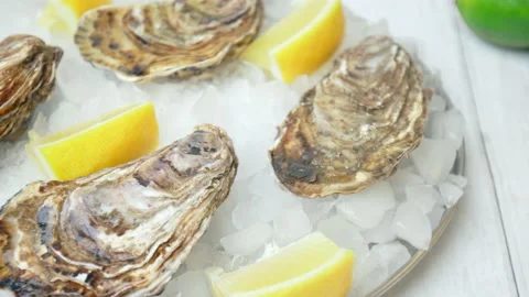 Close-up of fresh closed Oysters on the table in a plate with crushed ice in 4K. Stock Footage 146246416