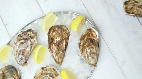 Close-up of fresh closed Oysters on the table in a plate with crushed ice in 4K. Stock Footage 146246908