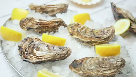 Close-up of fresh closed Oysters on the table in a plate with crushed ice in 4K. Stock Footage 146255162
