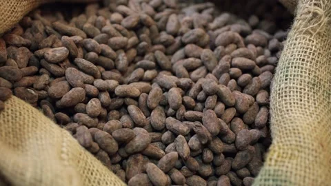 Close up of fresh cocoa beans in straw bag Stock Footage 130866867