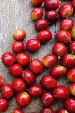 Close up of fresh coffee beans Stock Photos