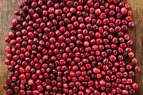 Close up of fresh coffee beans Stock Photos