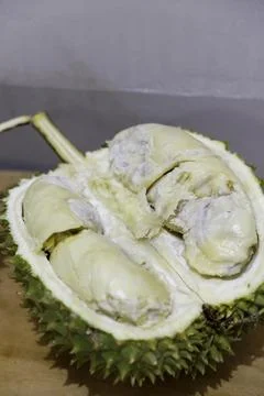 Close-up of fresh durian pulp Stock Photos