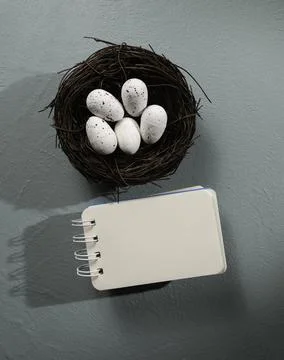 Close up of fresh eggs Stock Photos